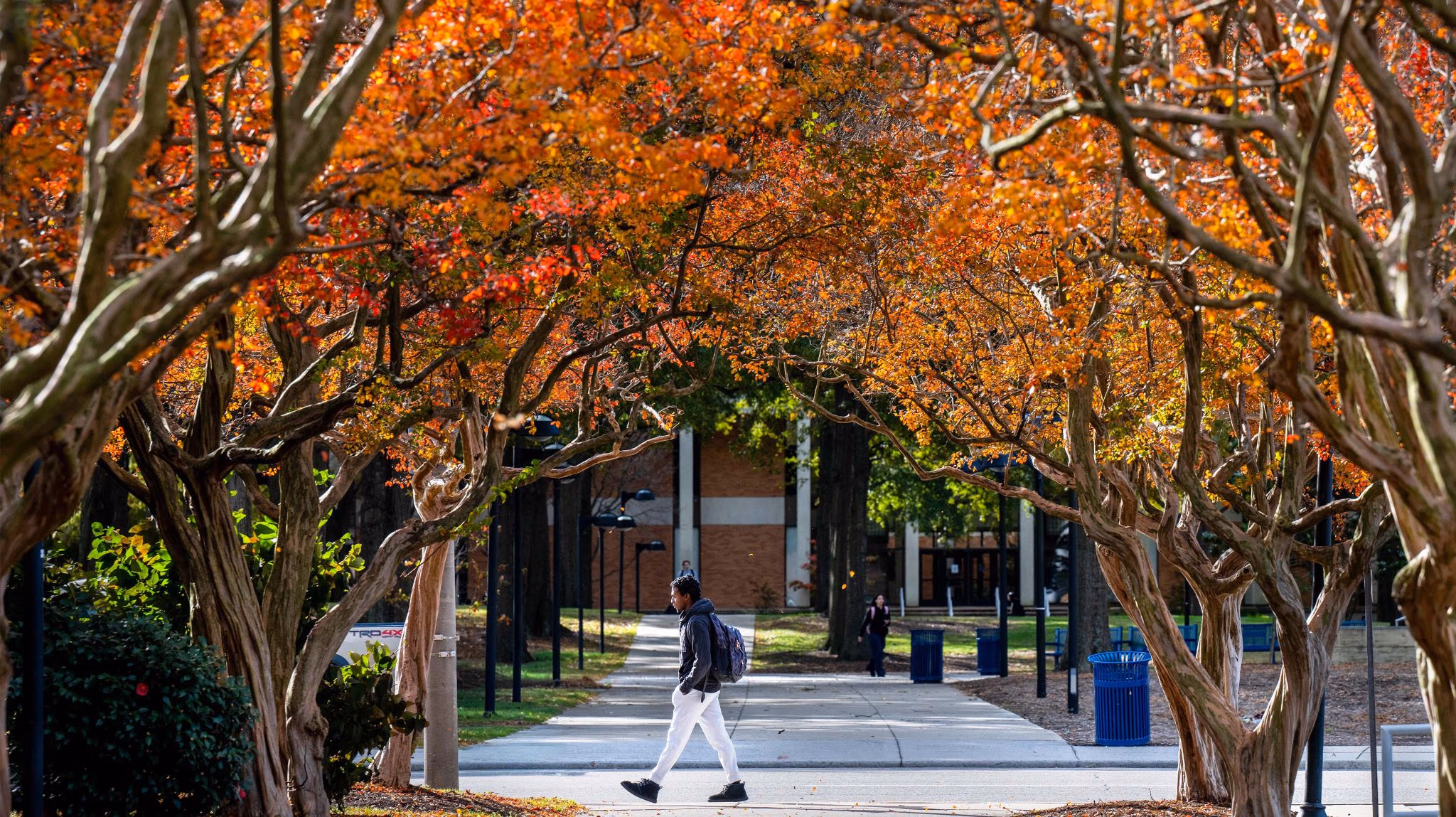 Student walking along a tree-lined path at Old Dominion University, surrounded by vibrant autumn foliage, illustrating community engagement in educational settings.